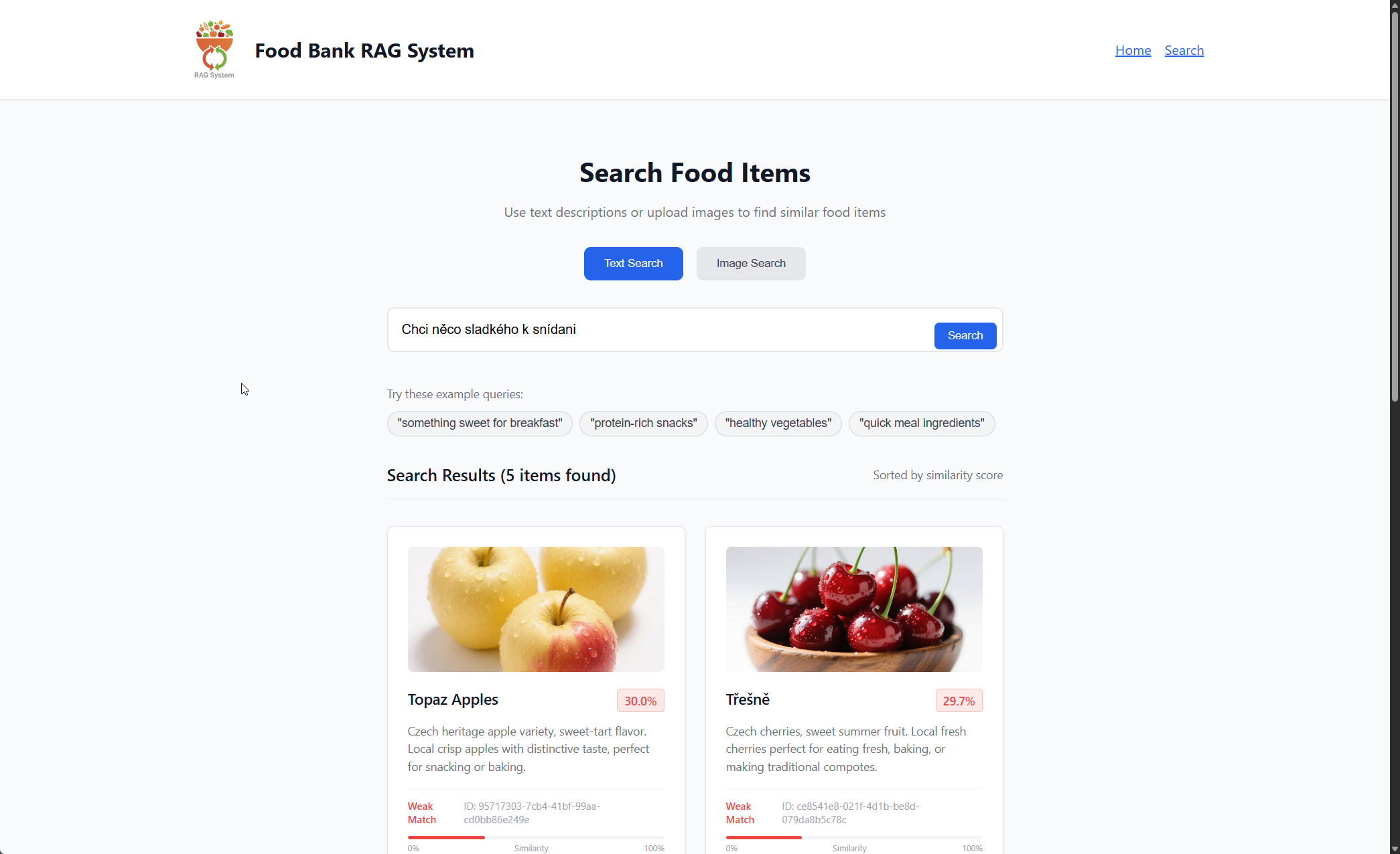 Food Bank Mini RAG gallery image 2